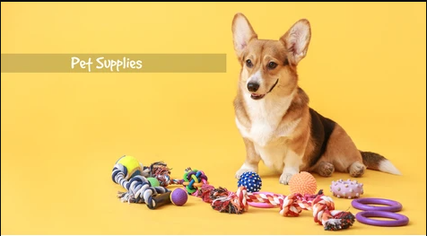 Pet Supplies