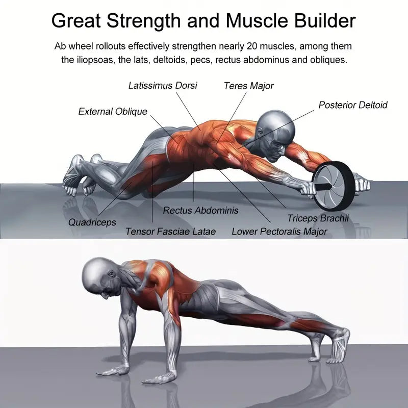 Silent Abdominal Wheel for Core Training – Stable & Quiet Abs Roller for Home, Gym & Indoor Workouts – Tummy Tuck Fitness Equipment for Men & Women